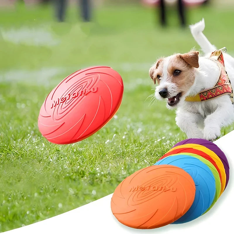 A small dog chasing a vibrant red silicone flying disc in a grassy field, with a stack of colourful discs nearby.