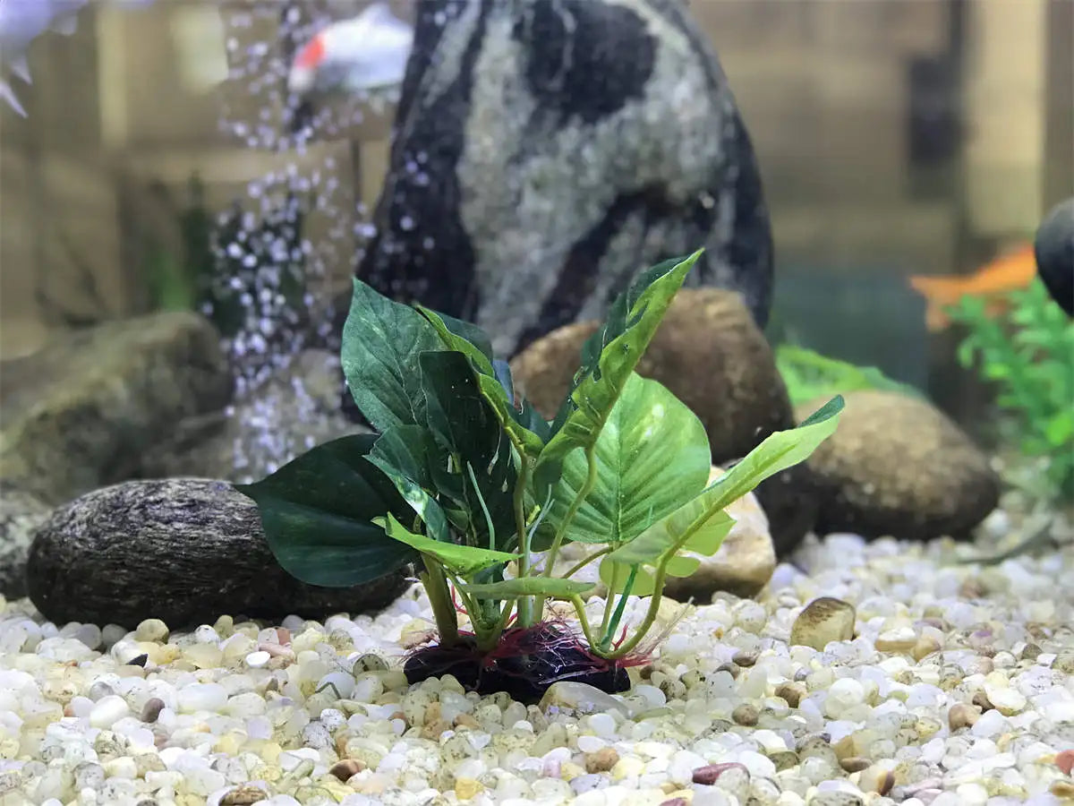 Artificial aquarium plant with broad, dual-toned green leaves anchored on a weighted base amidst gravel and stones.