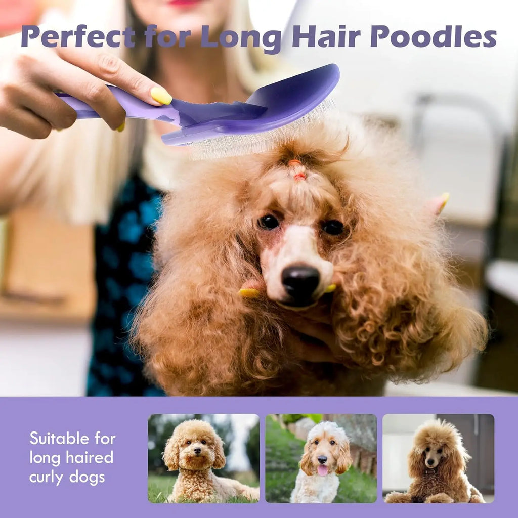 A person uses a purple, ergonomic grooming brush with fine bristles to detangle a curly-haired poodle.