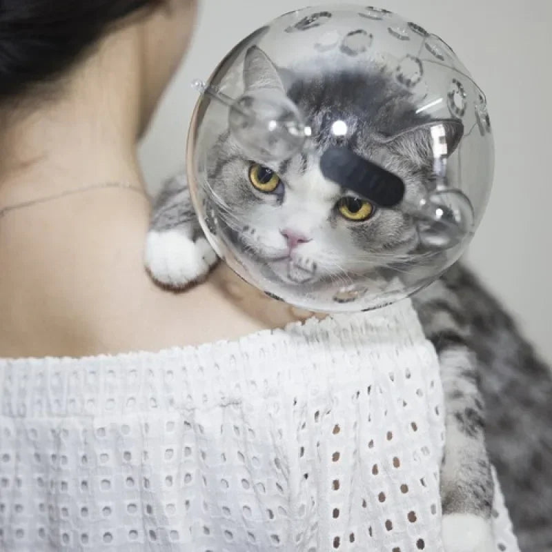 A cat wearing a clear, spherical grooming mask with air vents, resting on a person’s shoulder.