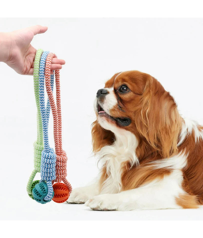 A hand holds three colourful chevron-patterned rope toys with attached rubber feeding balls for a curious dog.