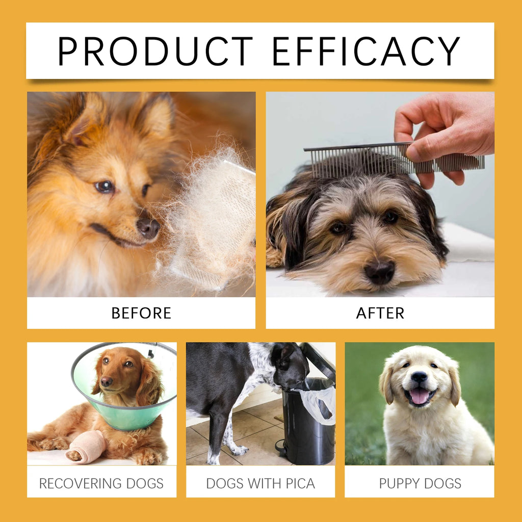 Before and after images of a dog being groomed, plus pictures showing dogs recovering, with pica, and a happy puppy.