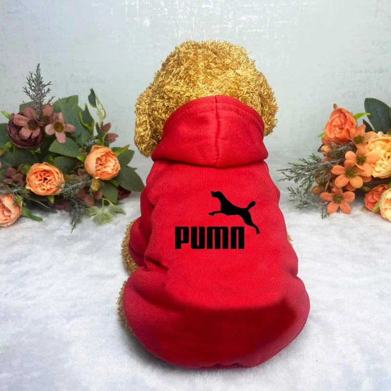 A cute dog wearing a vibrant red hoodie with a hood and a black graphic print, set against a floral background.
