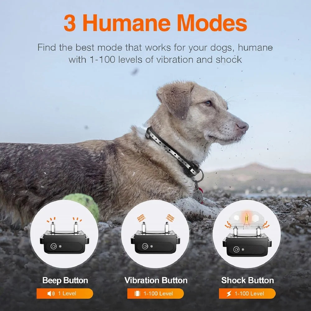 A dog wearing a black training collar, with circular icons showing beep, vibration, and shock mode settings.