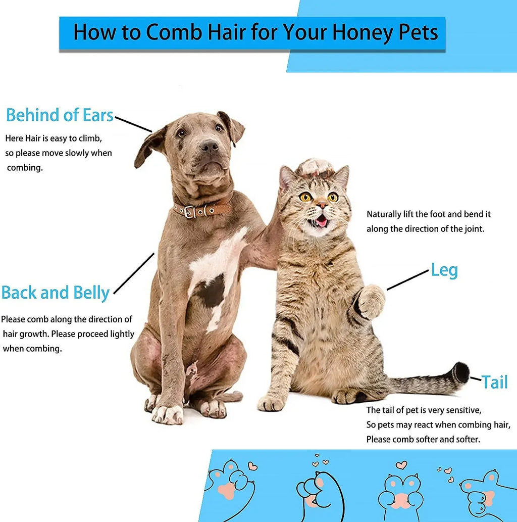 Informational graphic showing a brown dog and tabby cat with grooming tips for different body areas.
