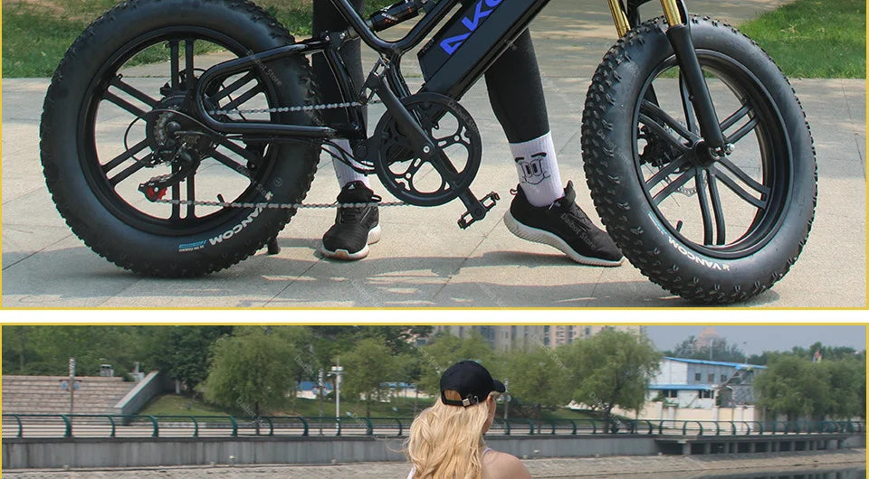 Powerful Electric bike 750W 48V Fat Tire bike