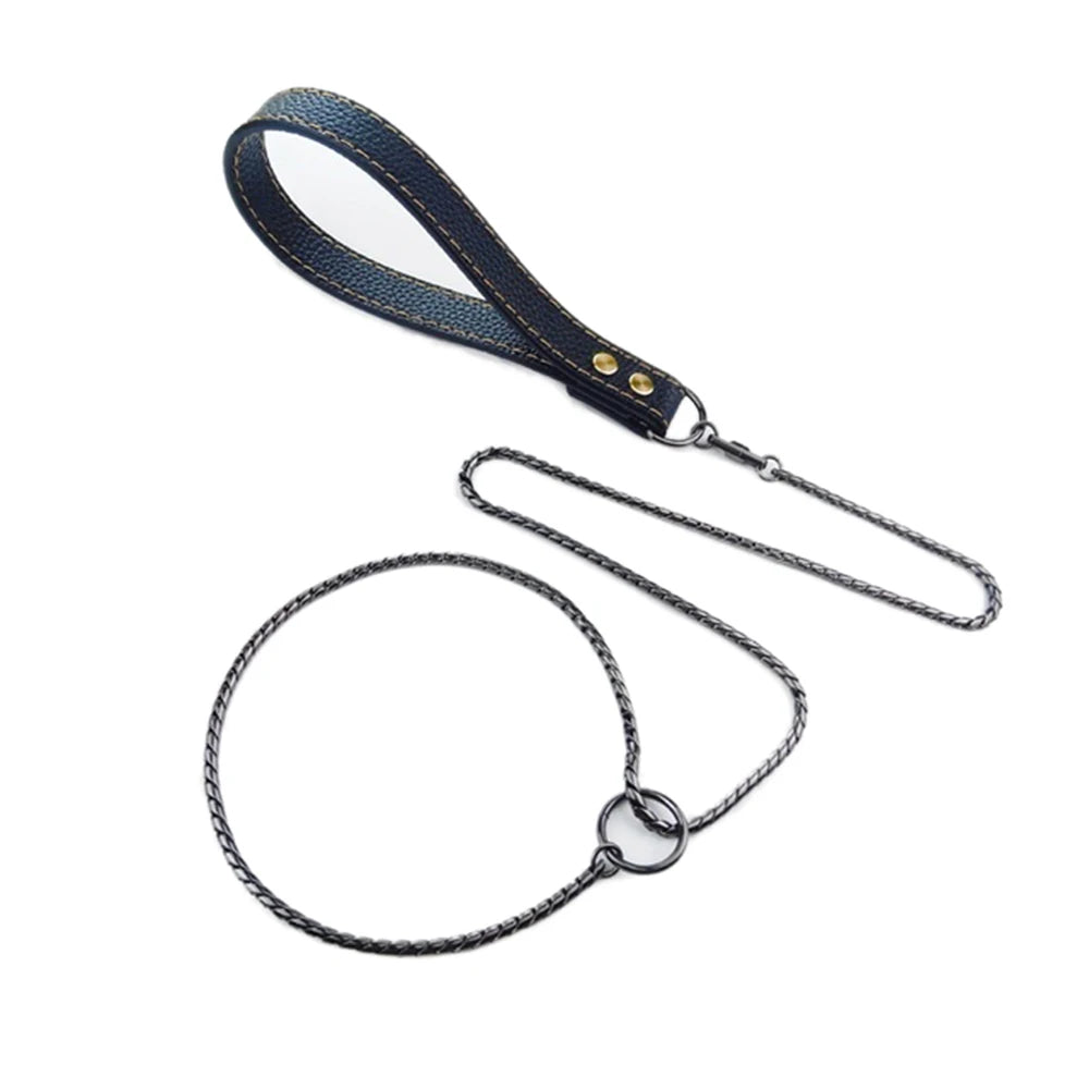 Stainless steel chain dog leash with a dark blue leather loop handle and brass rivets.