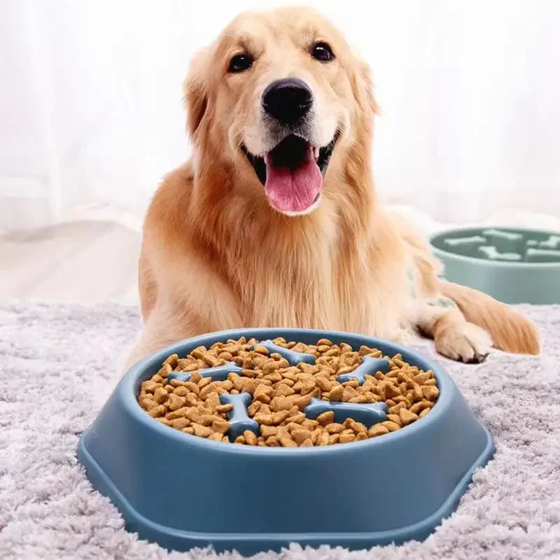 A happy golden retriever behind a blue, bone-patterned slow-feeder dog bowl filled with dry kibble.
