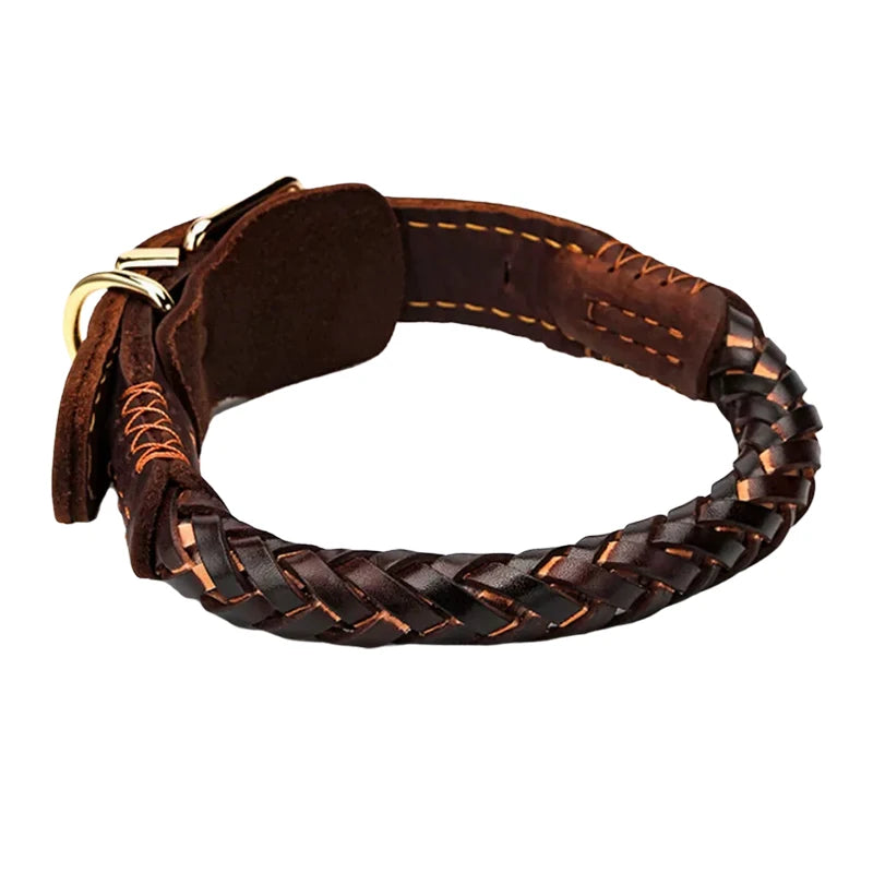 Dark brown braided leather dog collar with gold-tone buckle and contrast stitching.