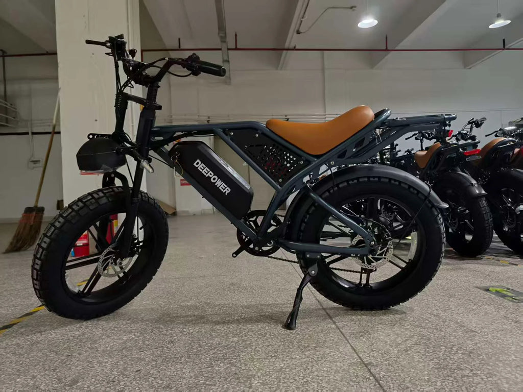 3500W Powerful motor 48V 60AH lithium battery 20 Inch Fat Tire