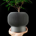 Hand holding a modern, gray 3D-printed plant pot with vertical ridges and a small green plant against a black background.