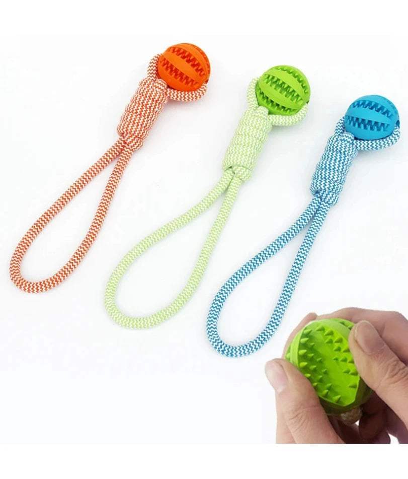 Three durable dog rope toys with textured rubber balls in orange, lime green, and blue, held by a hand.