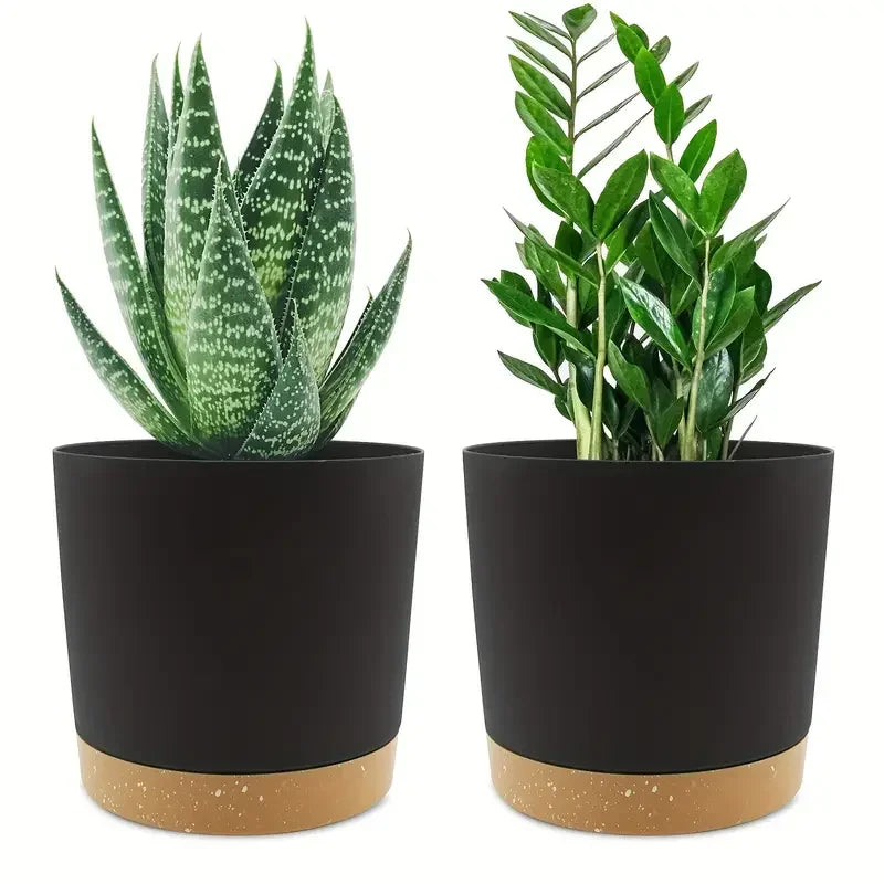 Two modern, matte black planters with speckled tan saucers, each holding a different green houseplant.