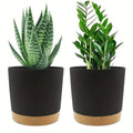 Two modern, matte black planters with speckled tan saucers, each holding a different green houseplant.