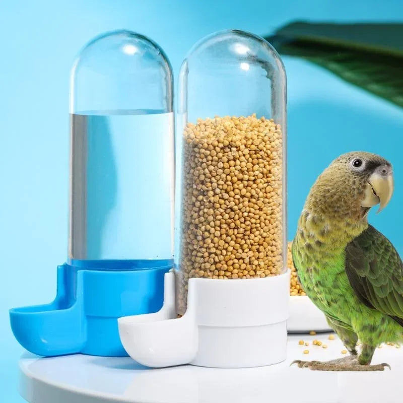 Two clear, cylindrical bird feeders with blue and white bases, one filled with seeds, near a green parrot on a table.