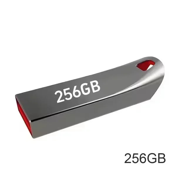 A sleek silver 256GB USB flash drive with a red interior accent and a built-in lanyard hole.