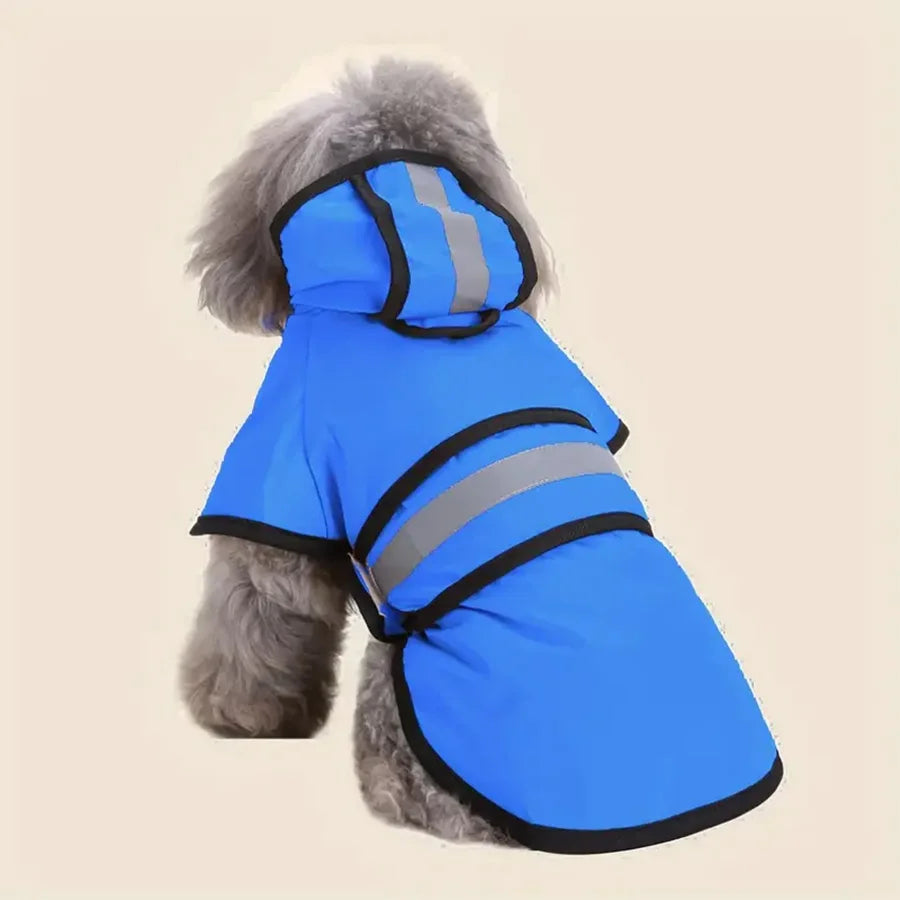 Small fluffy dog wearing a bright blue, hooded, waterproof dog raincoat with reflective grey strips and black trim.