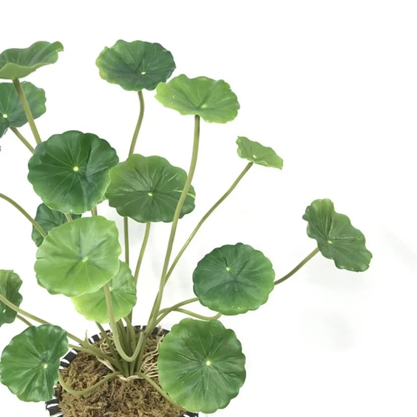 Artificial lotus plant with round, green, scalloped leaves on thin stalks, potted in moss against a white background.