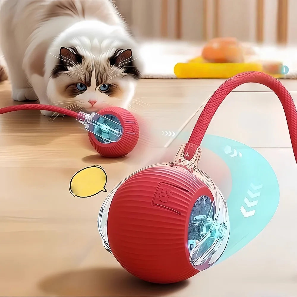 A fluffy cat plays with a red, textured, interactive ball toy featuring a light-up centre and flexible red cord.