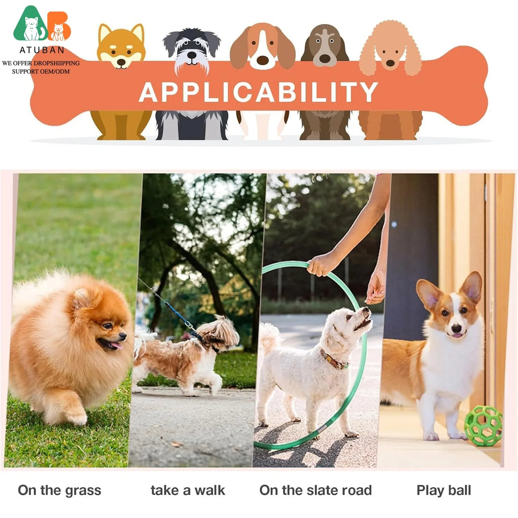 Collage of various dog breeds engaging in outdoor activities, such as walking, playing on grass and with a ball.