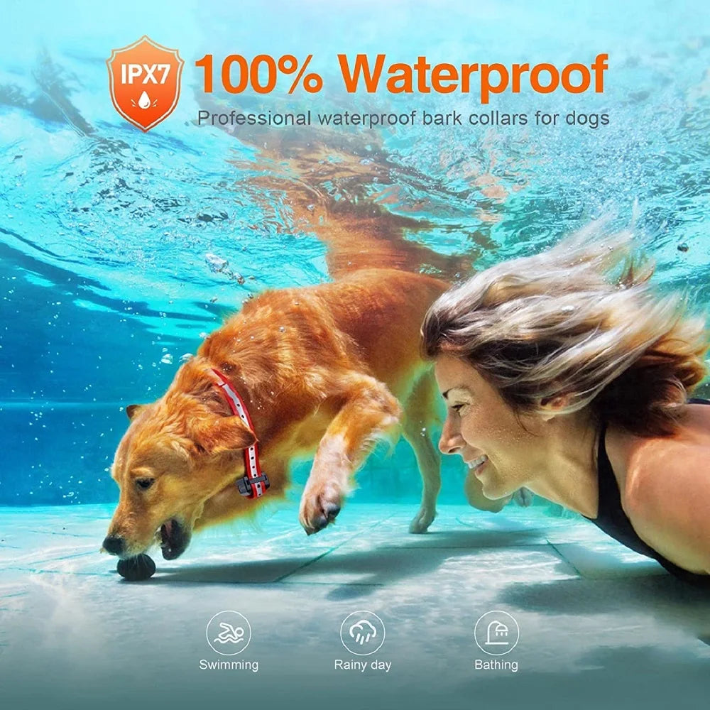 A dog wearing a red and white waterproof training collar swimming underwater with a person in a pool.