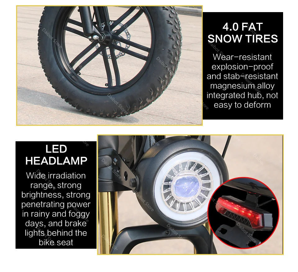 Powerful Electric bike 750W 48V Fat Tire bike