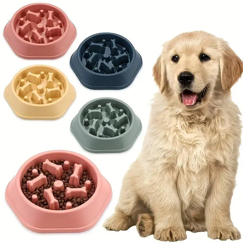 Five colorful, hexagonal dog slow-feeder bowls with bone-shaped dividers, displayed next to a golden puppy.