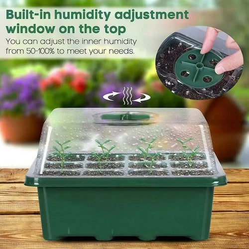 Green 12-cell plastic seedling tray with a clear, humidity-adjustable dome cover on a wooden surface.