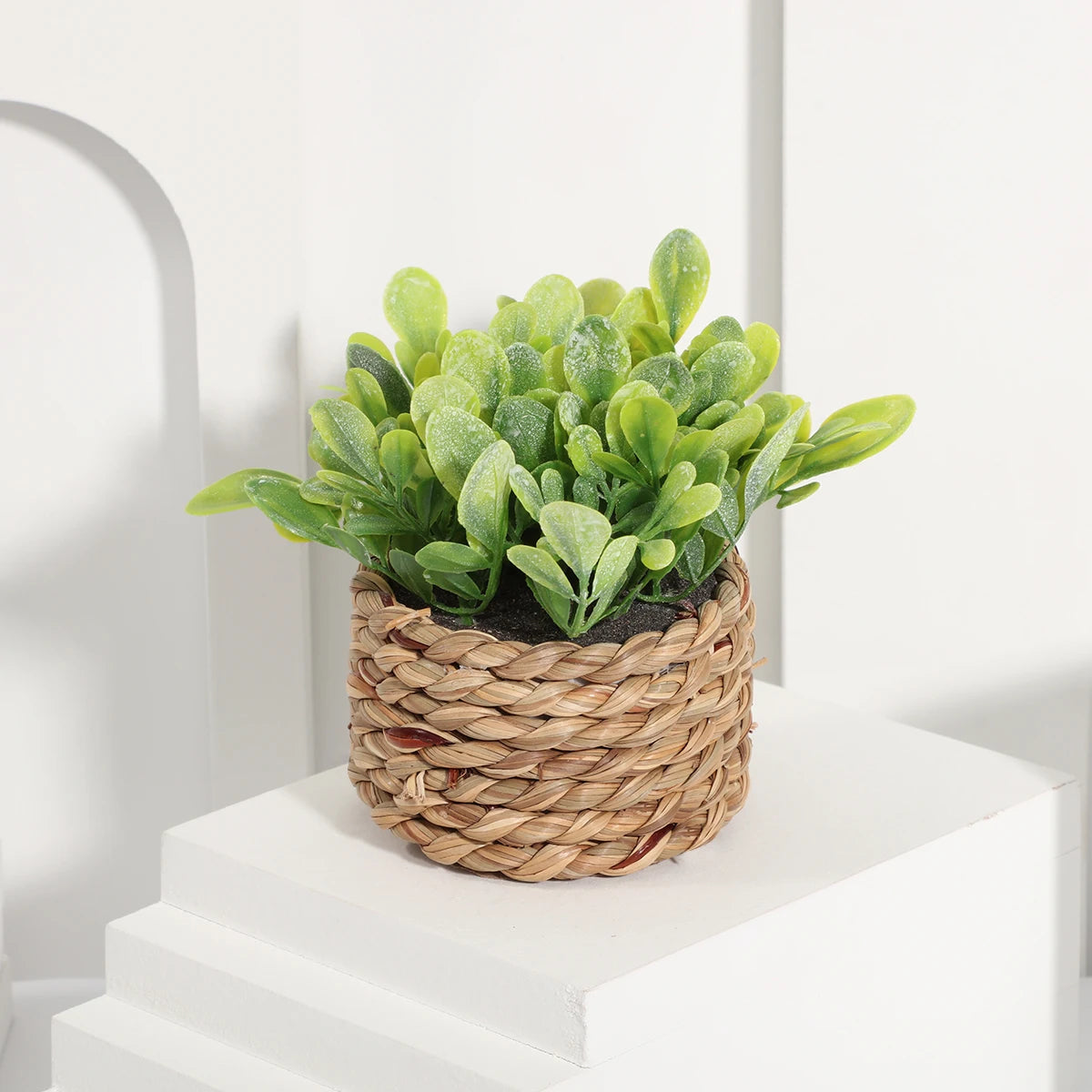 Small artificial green plant with rounded leaves in a round, woven straw-style pot on a white display block.