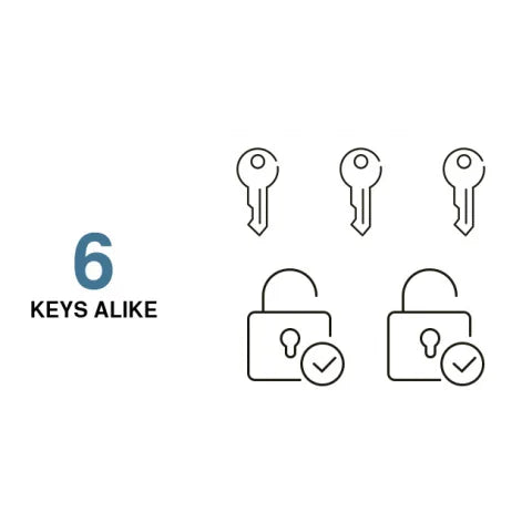 Black and blue icon showing 6 keys alike, featuring two open padlocks with checkmarks and three keys.