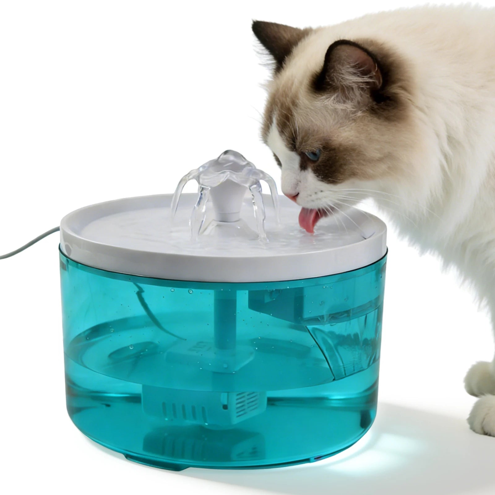 A fluffy cat drinking from a transparent turquoise automatic water fountain with a white top and bubbling feature.