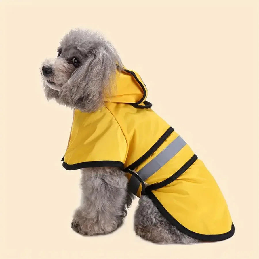 A grey dog wears a bright yellow hooded raincoat with black trim and a reflective strip for visibility.