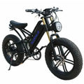 Powerful Electric bike 750W 48V Fat Tire bike
