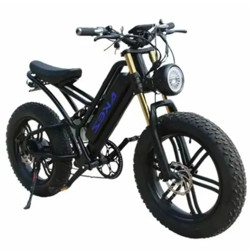 Powerful Electric bike 750W 48V Fat Tire bike