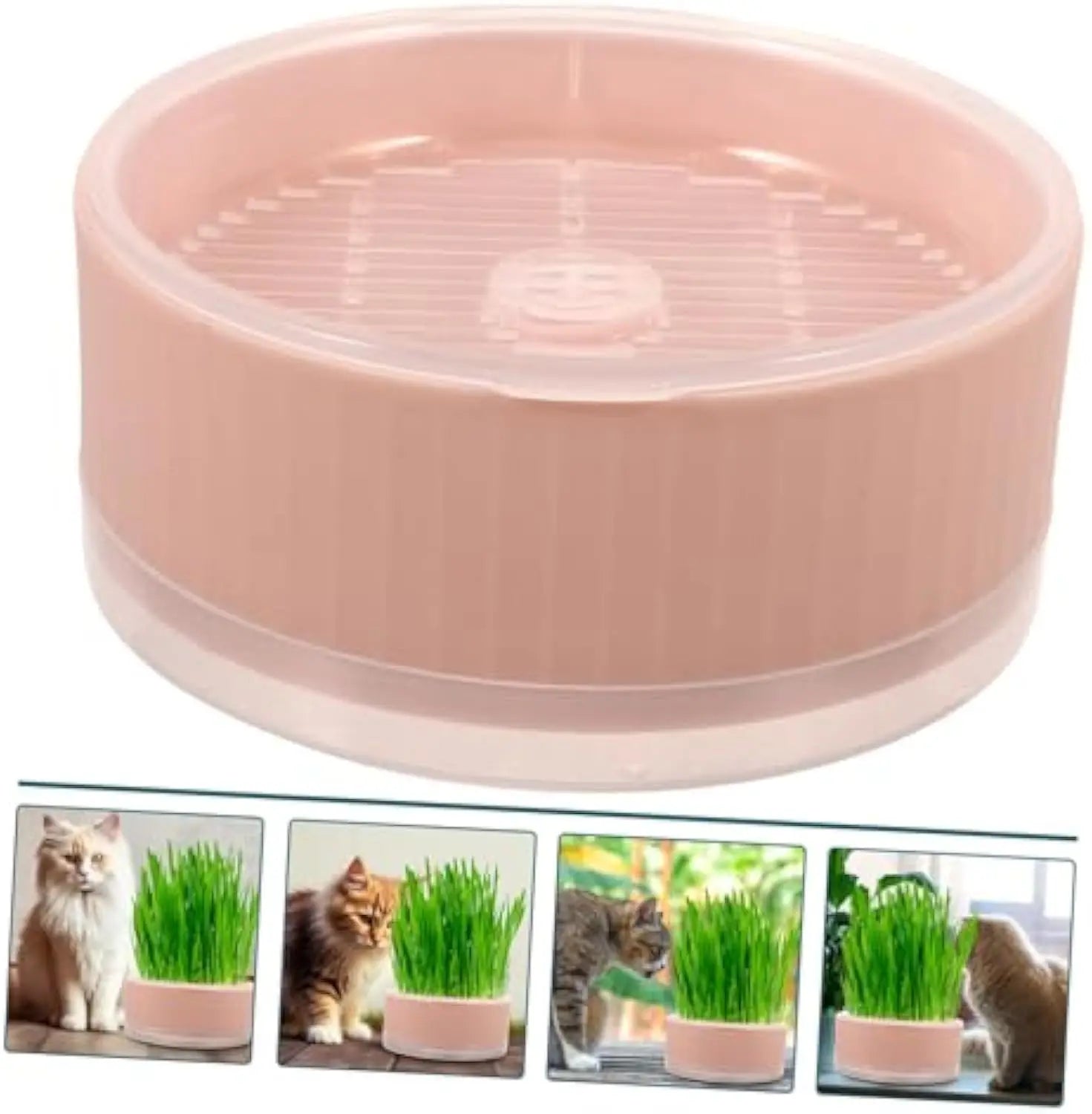 A round, light-pink plastic cat grass planter with a slotted tray, shown with photos of cats enjoying the green grass.