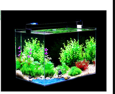 Glass aquarium with artificial green plants, purple flowers, a red plant, gravel, and blue decorative pebbles.