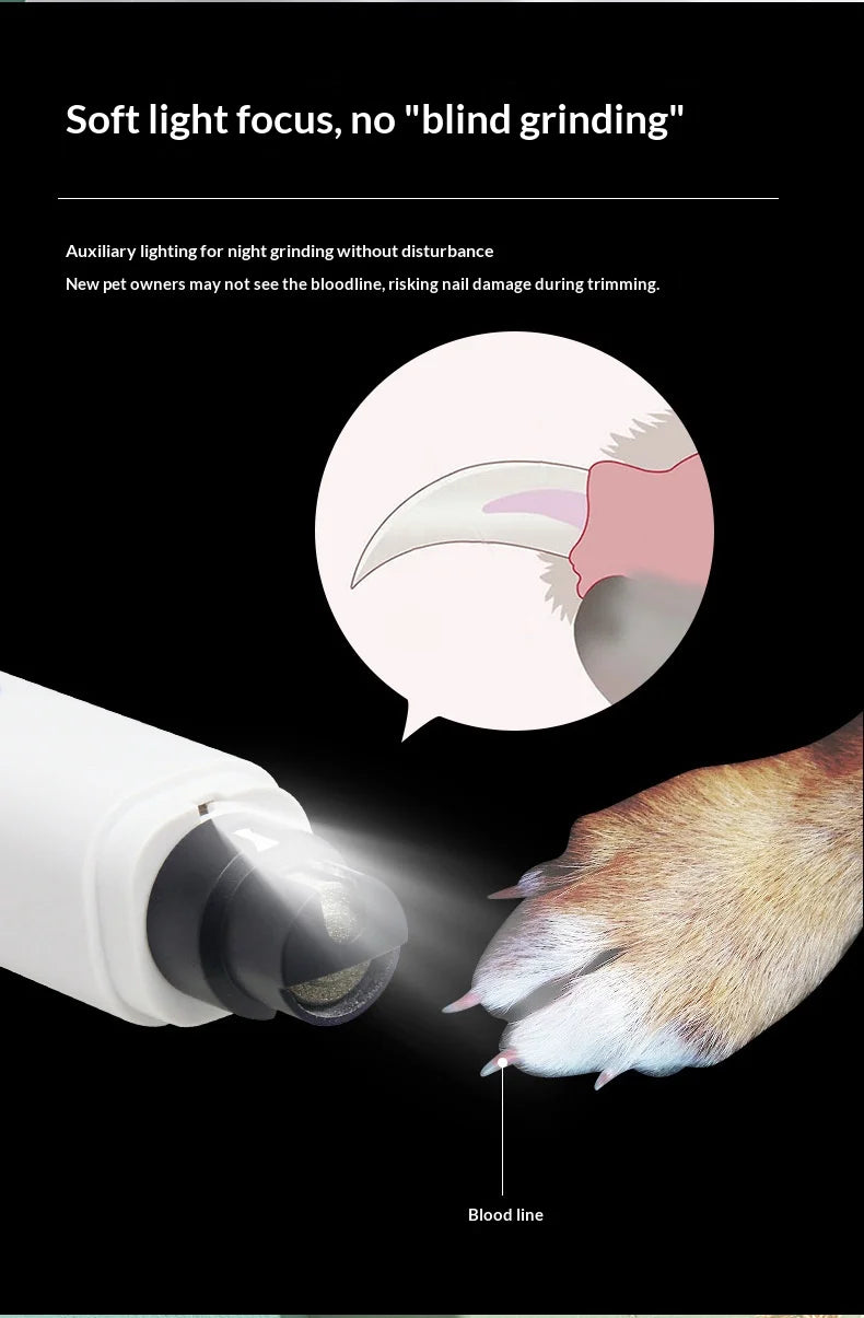 White electric pet nail grinder with LED light illuminating a dog’s paw to help safely identify the quick.