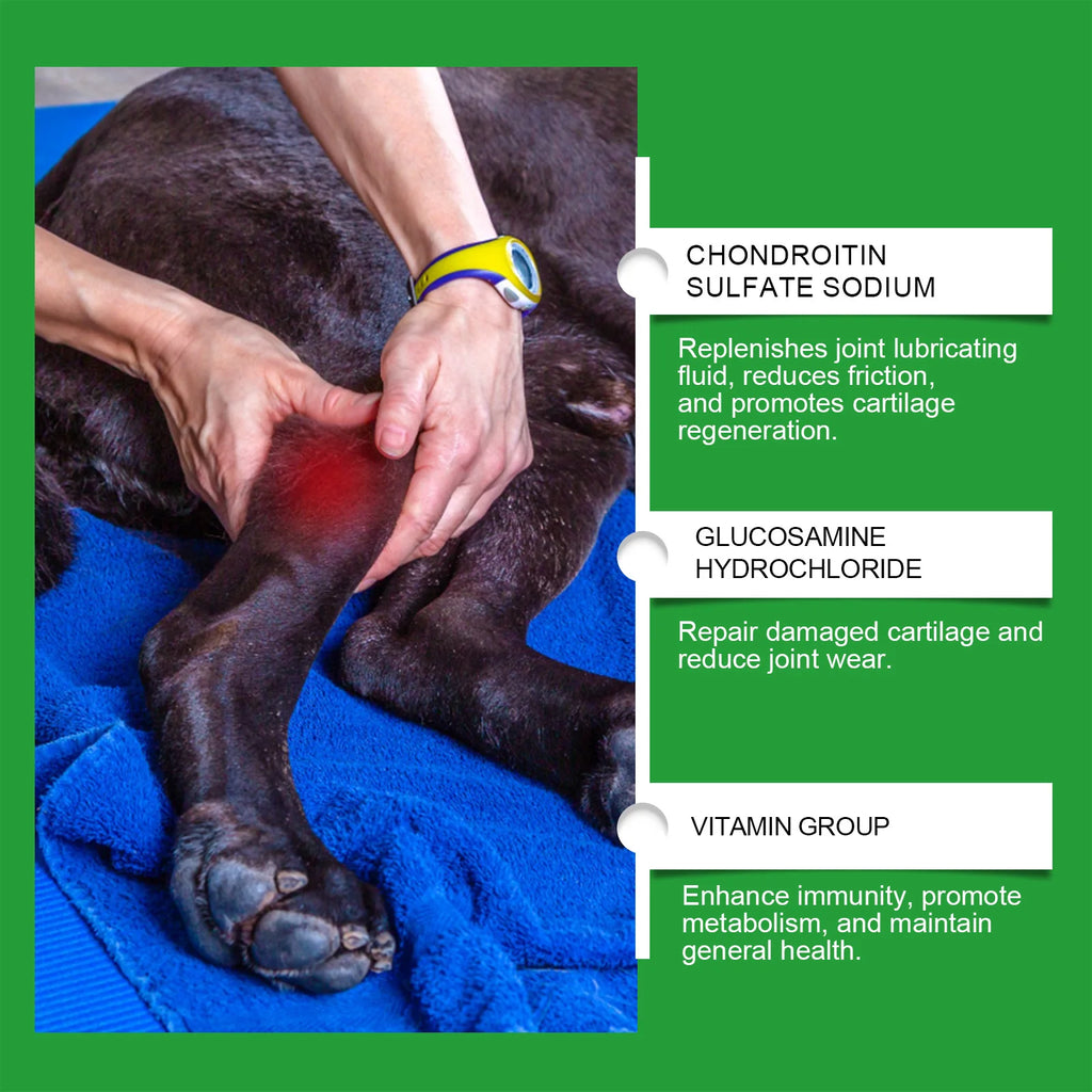 Person massaging a dog’s leg with an infographic detailing joint health ingredients like chondroitin and glucosamine.
