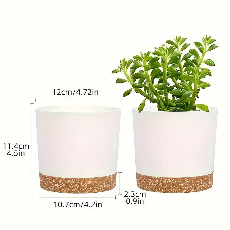 Two white modern planters with speckled cork-like bases, showing dimensions, one with a green succulent plant.