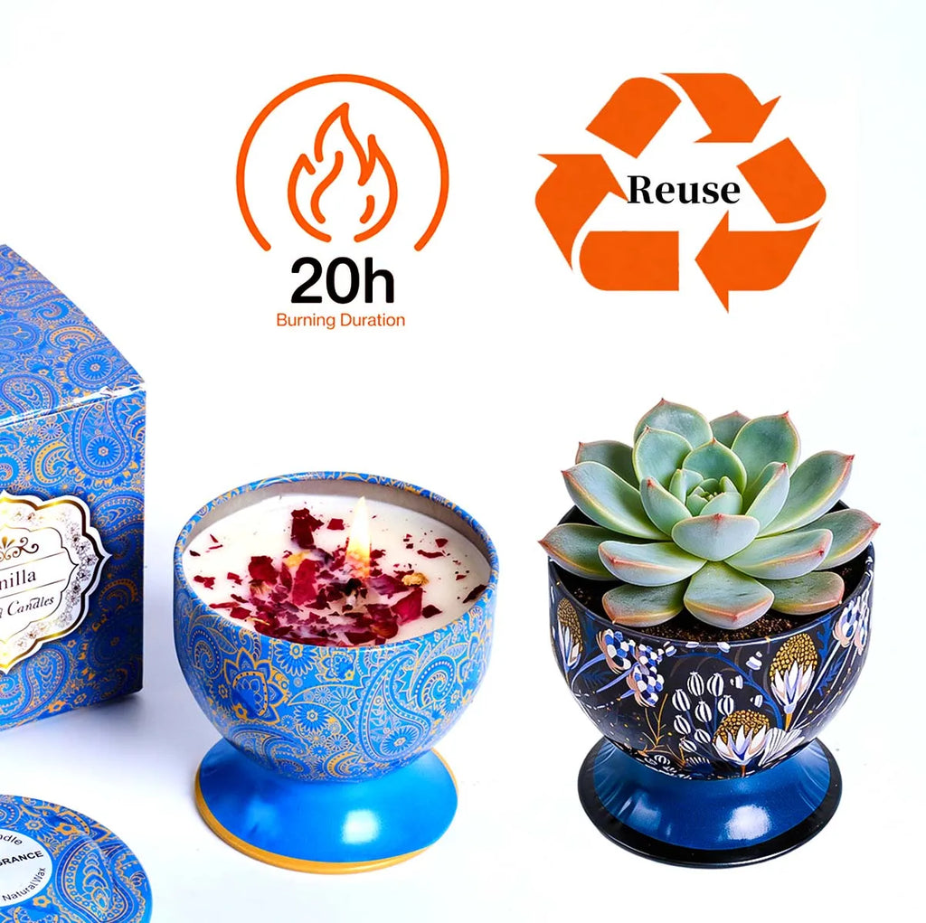 A decorative candle in a blue paisley tin and a potted succulent in a floral metal planter, both reusable designs.
