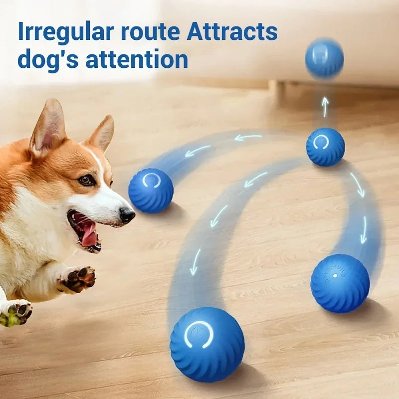 A corgi chasing a blue, textured interactive ball that moves in an irregular path across a wooden floor.
