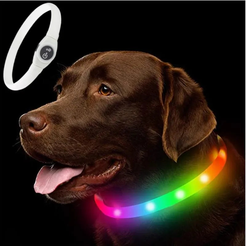 A brown dog wearing a glowing, multicoloured LED waterproof dog collar. A white version is shown in the top corner.
