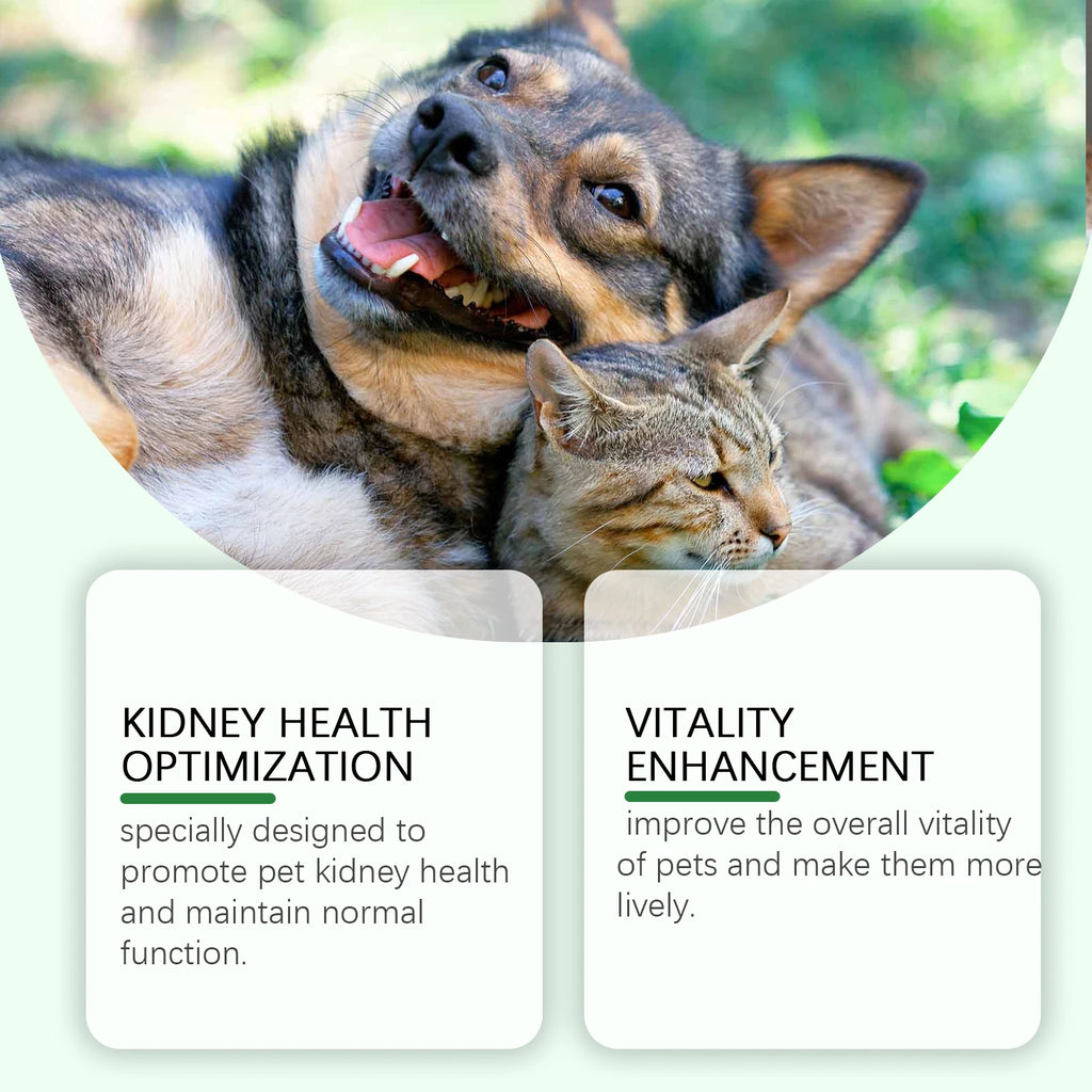 A happy dog and cat together, with text highlighting pet kidney health support and vitality enhancement benefits.