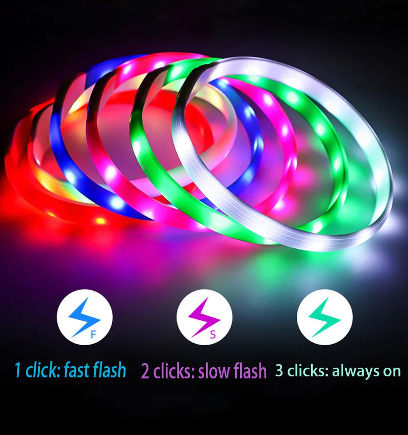 A collection of vibrant, glowing LED dog collars in red, blue, pink, green, and white with three light modes.