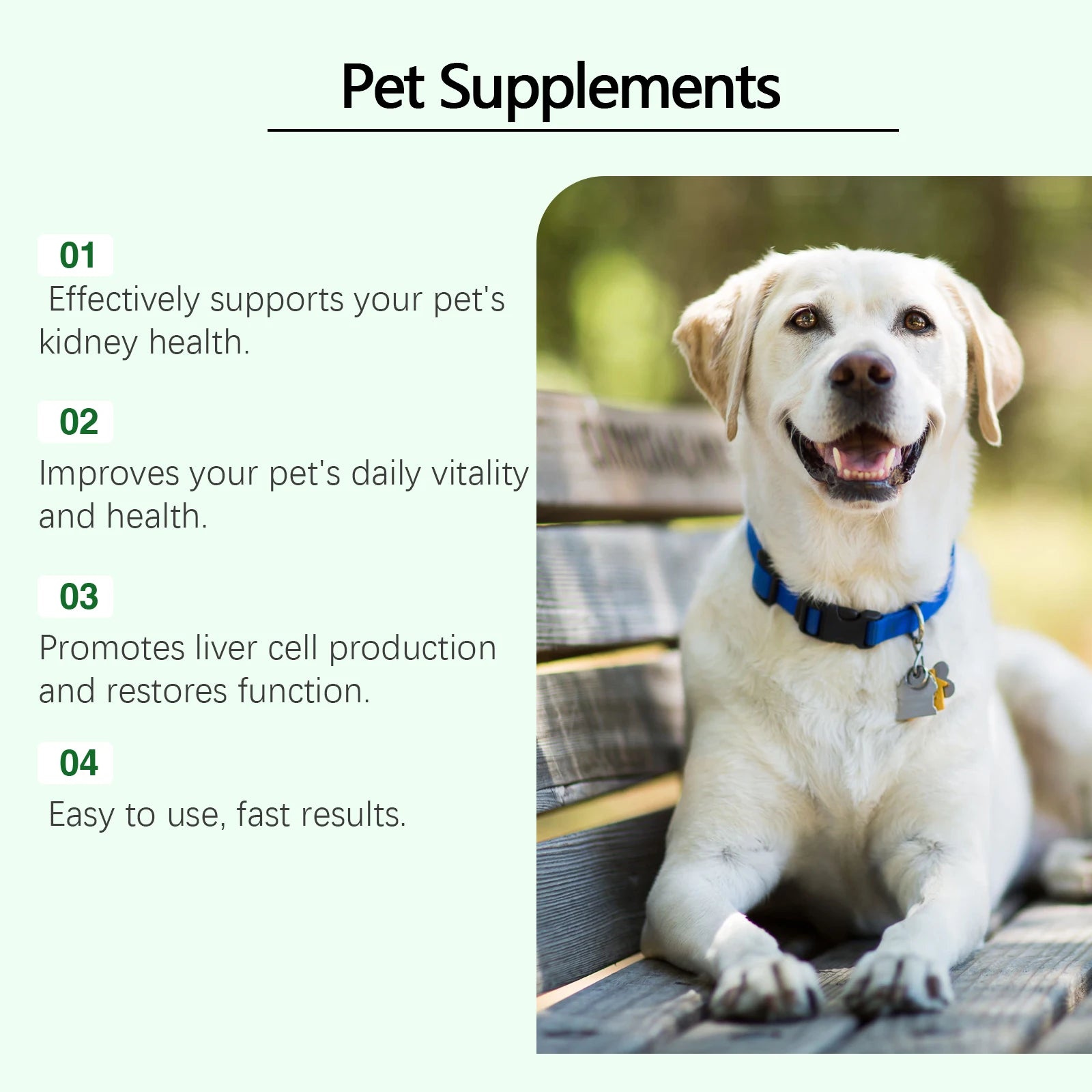 A happy cream Labrador with a blue collar sits on a park bench, next to a list of pet health supplement benefits.