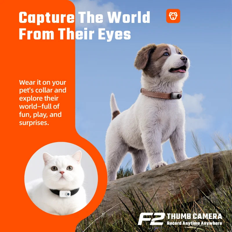 Small grey plastic thumb camera worn on a pet collar, shown on a dog and cat for capturing first-person video.