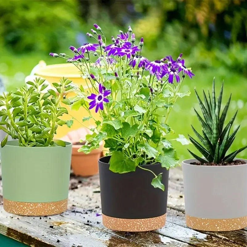 Three modern planters in sage green, black, and light gray, each with a speckled beige base, sitting on a wooden table.