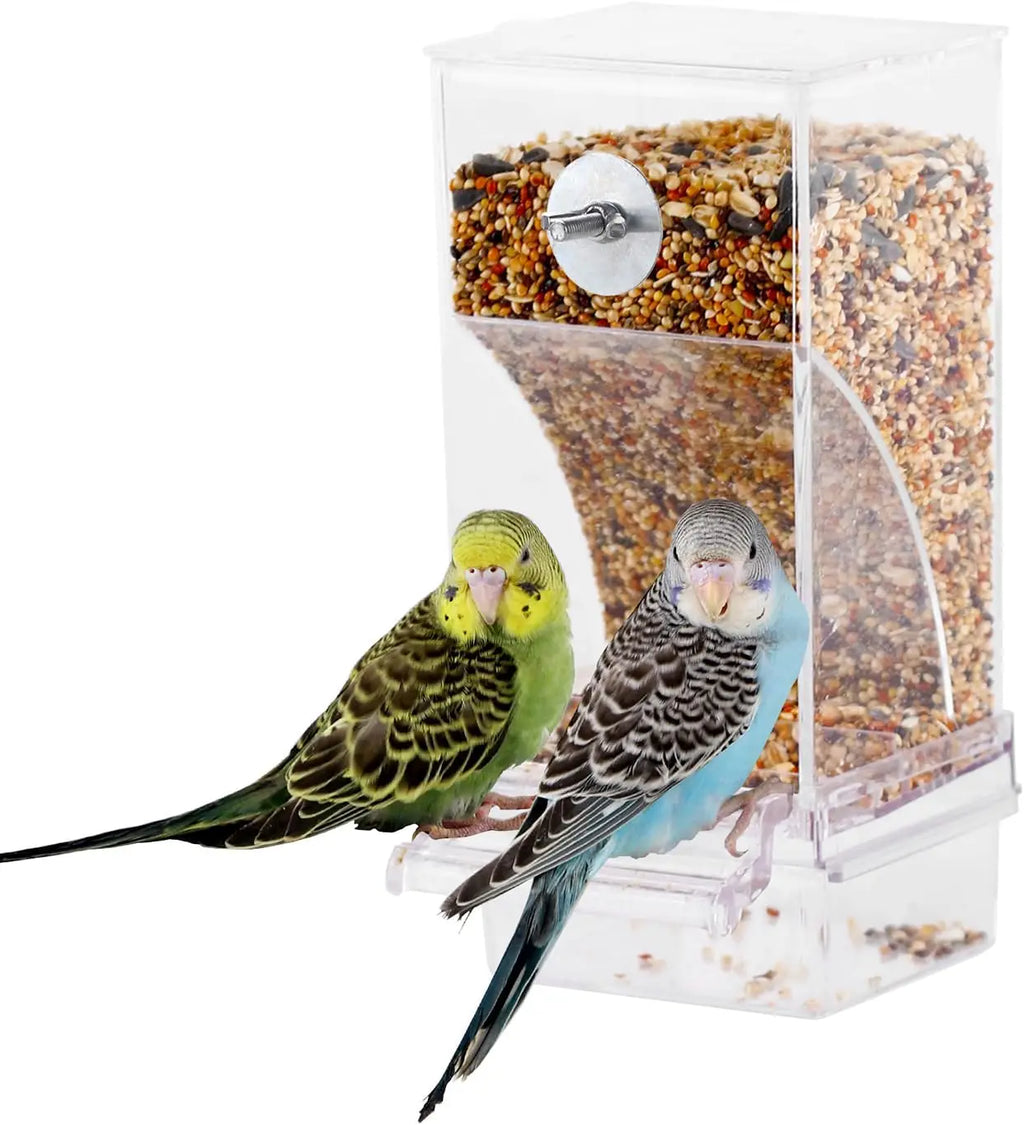 Clear acrylic bird feeder filled with seeds, with a green and a blue budgie perched on the feeding tray.