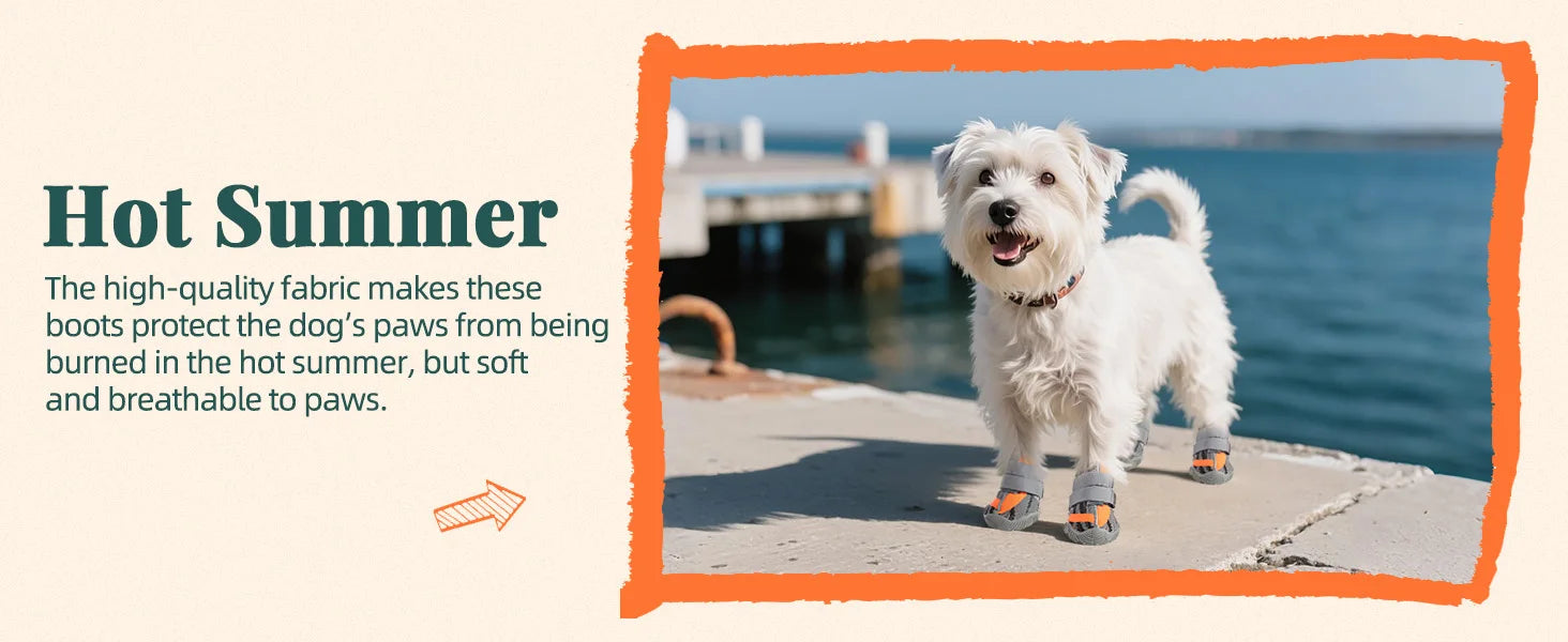 A small white dog stands on a pier wearing breathable grey dog boots with orange straps and rugged black soles.