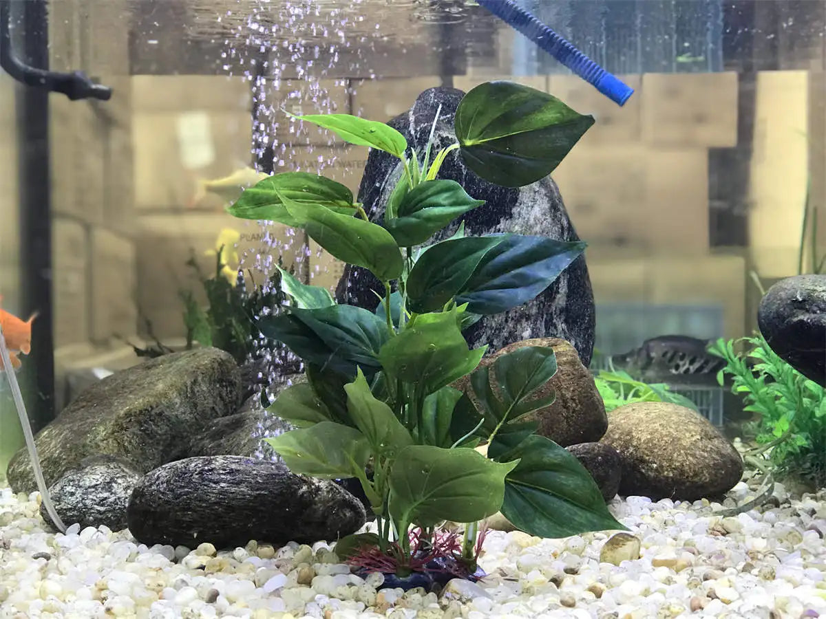 Artificial green plastic plant with broad leaves in a pebble-bottom fish tank with rocks and a bubble wall.